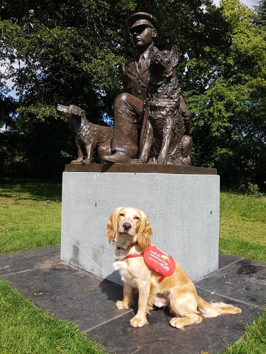 What a beautiful day! <a href="/EcologyDogs/">Ecology Dogs</a> Lola and <a href="/MedDetectDogs/">Medical Detection Dogs</a> Archie visited the <a href="/K9memorialUk/">National K9 Memorial</a> this morning. It was considerably warmer than the unveiling day!