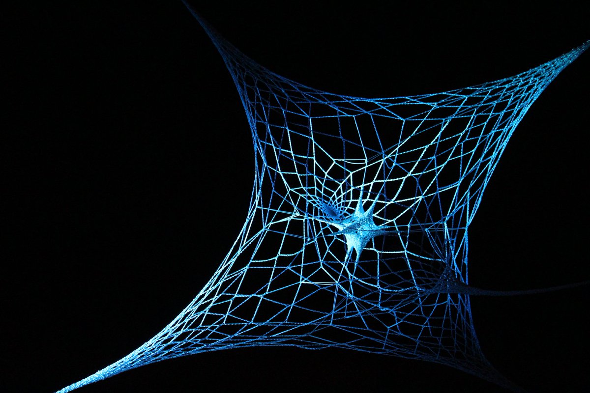 louisamagrics's tweet image. Big thanks to everyone who has been along to check out the BRAIN exhibition at @Watt_Space! Very happy to hear Hyperweb (in print form) has won the People's Choice Award 😊

#Hyperweb IRL is hanging in the Hunter Region Botanic Gardens til the 4th of August 🌱