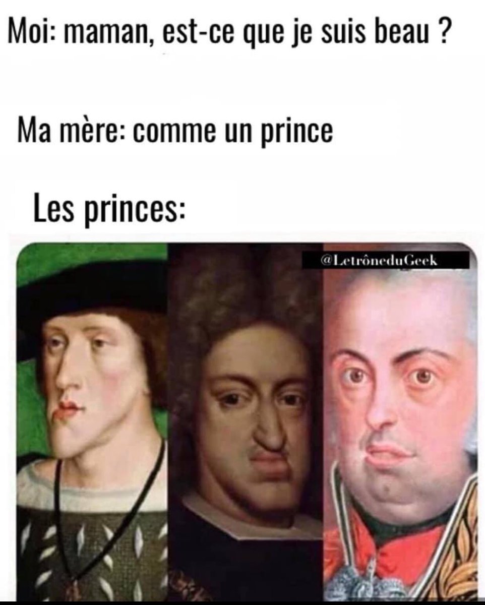 MissSylvieAnna's tweet photo. Love this one!! 🤣😂 #MFLLive #mfltwitterati #MFLChat #french #funny #parlefrançais https://t.co/YTieq9vYST