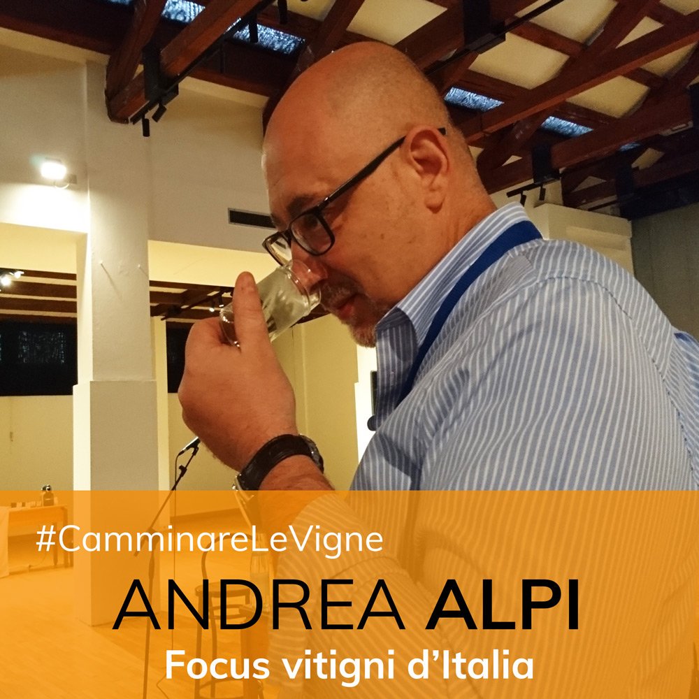 #Camminarelevigne
FOCUS VITIGNI D'ITALIA

#Vermentino
Sensorialità e valutazione

#AndreaAlpi
#AltaScuolaVeronelli