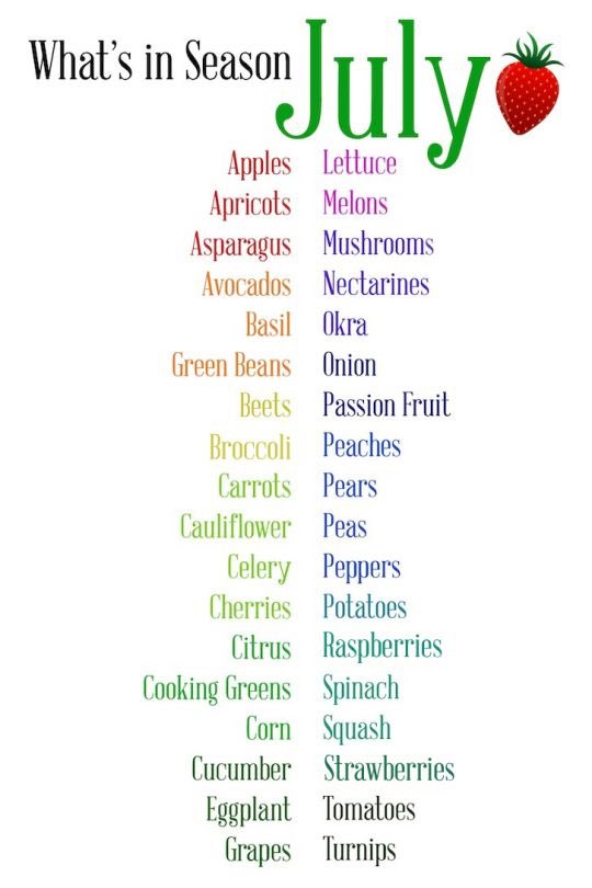 Rizopia Pasta tweet media