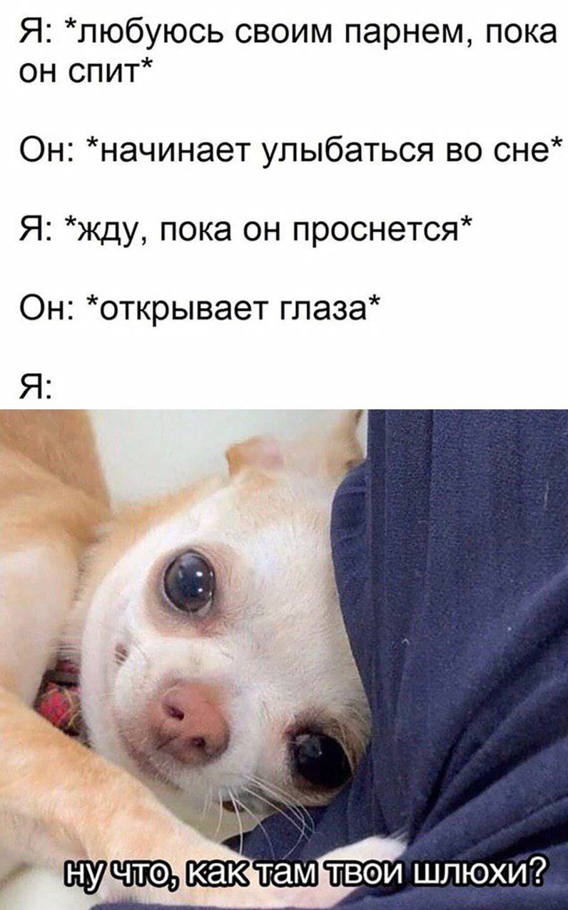 D-YeT8qXoAgR4uH?format=jpg&name=large