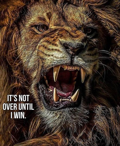 FiveFitness's tweet photo. It's going to be tough. You're going to get knocked down many times. You're going to want to quit almost everyday. But as long as you're still standing. As long as you still have the air in your lungs, it's not over! 

#DontQuit #Dreams #Goals #Gym #Motivation #Life #Success https://t.co/QcZS1LhhCx