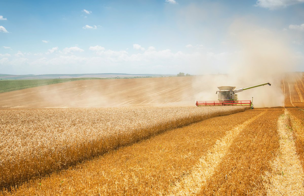 aritmos's tweet photo. 🚜🌾 #SectorCereal: vivimos una de las #campañas más complejas de los últimos años. @mapagob evaluará la situación. Lea más: @el_pais https://t.co/iZNDwEyJbl
Desde @aritmos trabajaremos para mejorar las soluciones que permiten gestionar sus organizaciones: https://t.co/WRjAwe4s6K https://t.co/9Vsjc8nZ4y