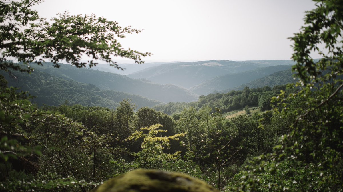milesandlove's tweet photo. En cette période de grosse chaleur, on a pris le large direction le Tarn et ses environnements majestueux.
Rien de tel que la foret et les cascades du coin pour se mettre au frais 💦
Amis tarnais vous avez bien de la chance, c'est trop beau !!! 😍
#tarn #tourismetarn https://t.co/DP6dlUYQXd