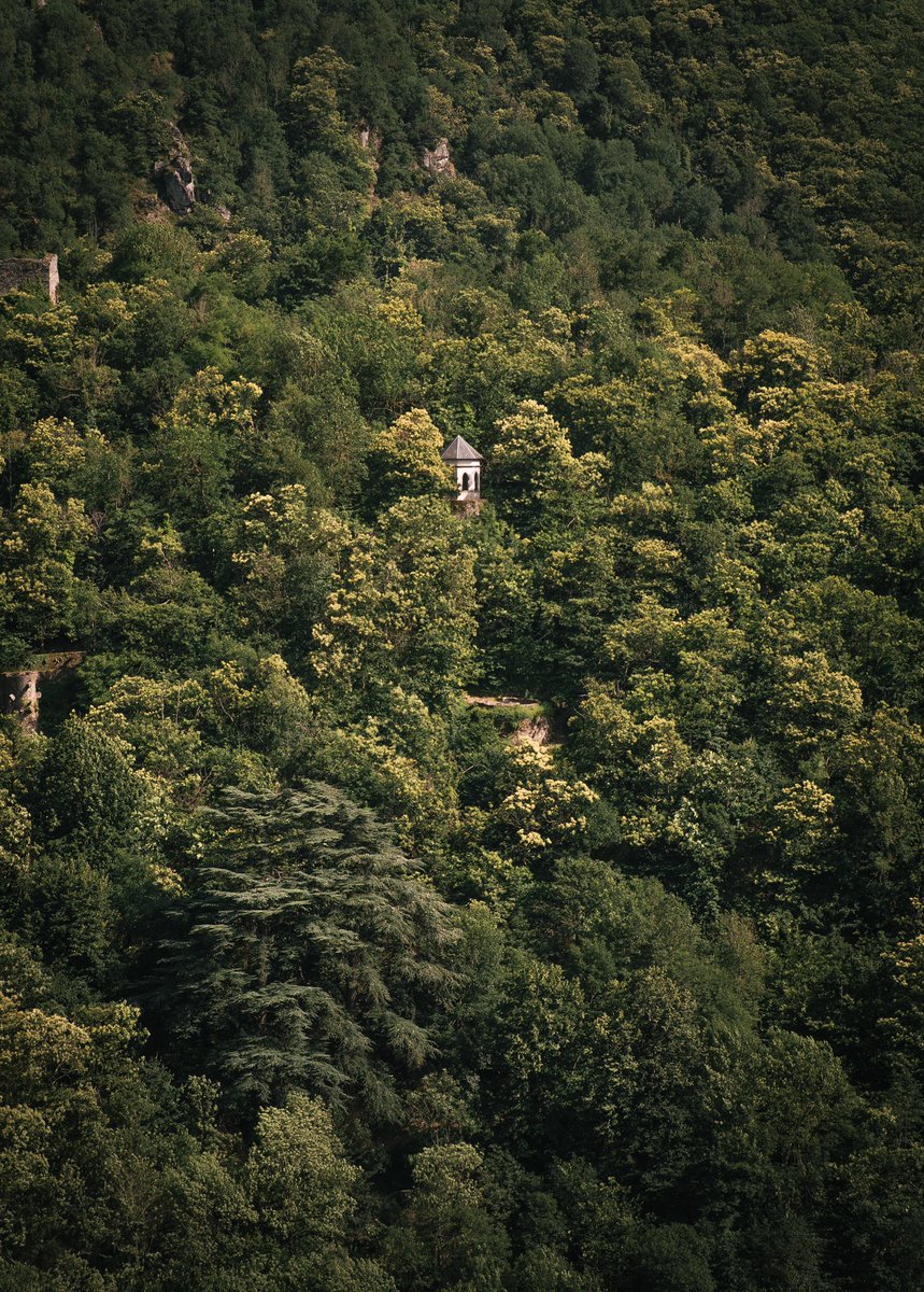 milesandlove's tweet photo. En cette période de grosse chaleur, on a pris le large direction le Tarn et ses environnements majestueux.
Rien de tel que la foret et les cascades du coin pour se mettre au frais 💦
Amis tarnais vous avez bien de la chance, c'est trop beau !!! 😍
#tarn #tourismetarn https://t.co/DP6dlUYQXd