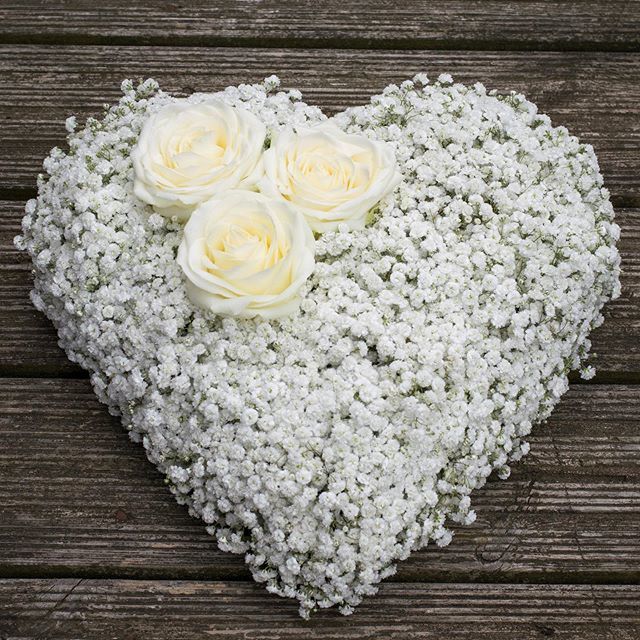 Pure Heart 💚 #funeralheart #funeralflowers #freshflowers #rochesterflorist #medwayflorist #stroodflorist #gypsophila #roses ift.tt/300G7w4