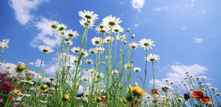 Met het vakantieseizoen in aantocht sluiten we de 1e helft van 2019 donderdag 4 juli af met een Zomerborrel voor leden en hun introducés. Voor alle info, zie de nieuwsbrief van vorige week☀️...