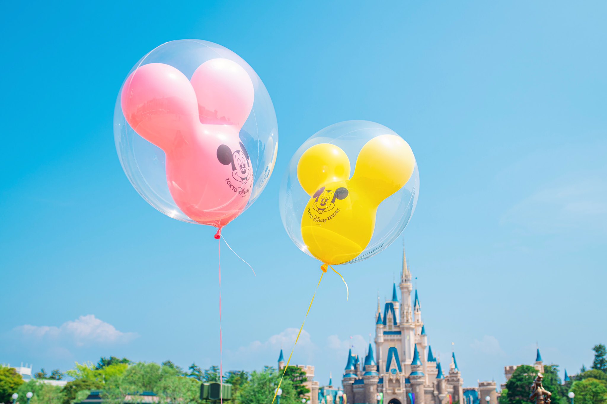 Amachan ミッキーバルーン と ディズニーの風景 T Co Zmtcdlvknj Twitter Amachan ミッキーバルーン と ディズニーの風景 T Co Zmtcdlvknj Twitter