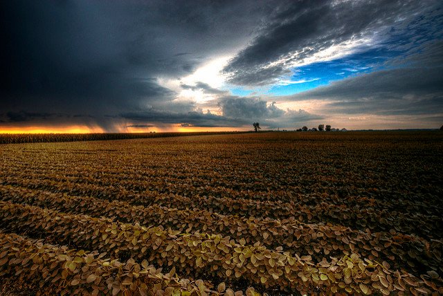 How climate change affects crops in India!!!!

For more details:  Email us: foodchemistry@speakersnews.org

#agriculture #agriculturetechnology #agrilabelling #agricultureengineering #agriculturesciences