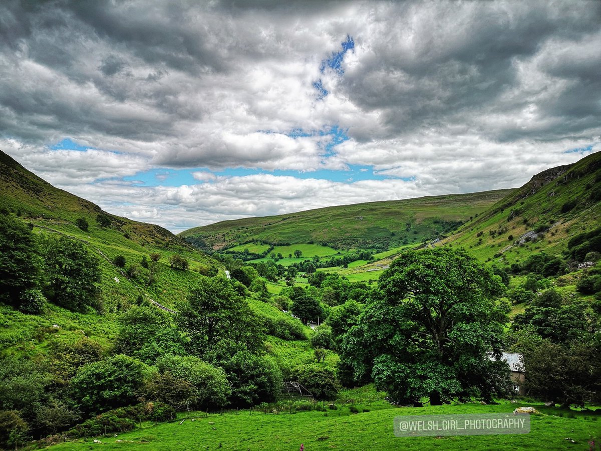 Welsh_Girl_Photography 🏴 tweet media