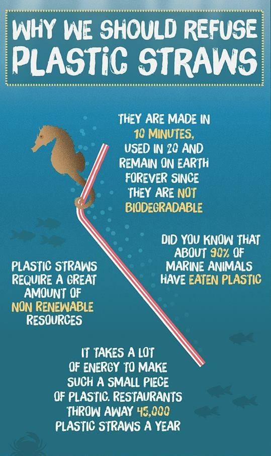 iYFALondon's tweet photo. Why you shouldn't use plastic straws.
#PlasticFreePlanet #PlasticFreeWembley #savetheplanet #PlasticFree #SayNoPlasticUse #MondayMotivation #PlasticFreeJuly #mondaythoughts https://t.co/ZstPtWis7C