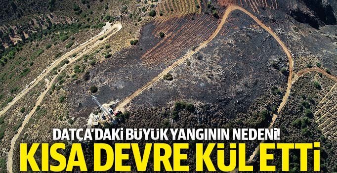 Karar Haber tweet media