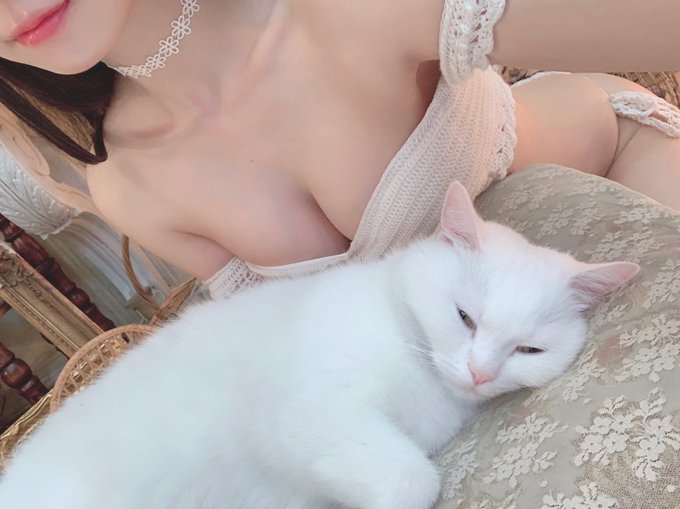 コスプレイヤーえなこのTwitter画像21