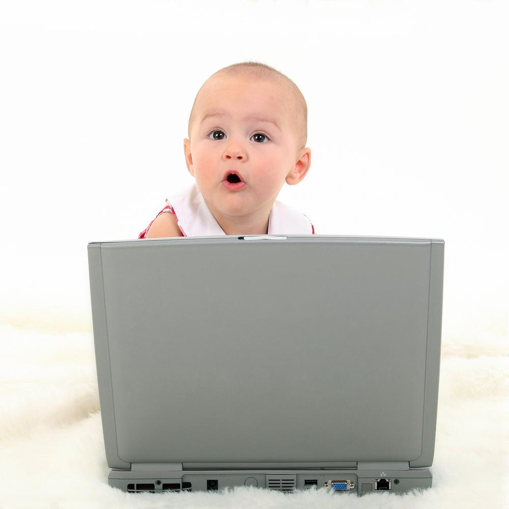 WhichNetwork tweet picture