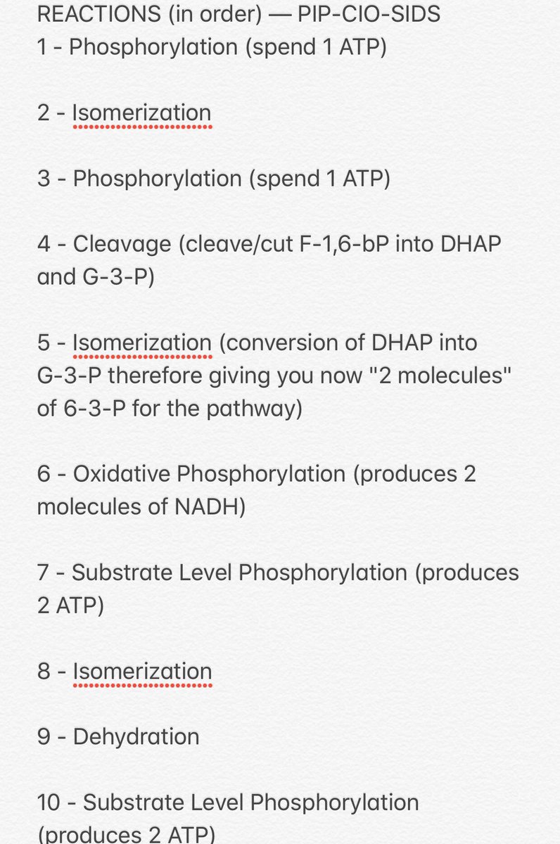 robertkaaatz's tweet photo. 🧪GLYCOLYSIS 🧪
—breakdown of glucose into 2 pyruvate
—SITE: cytosol
—decreases blood glucose

💡Mnemonics:
/Read them as words, repeatedly./
•Enzymes: HP-PAT-GP-PEP
•Reactions: PIP-CIO-SIDS

10 Glycolytic Steps
•Steps 1-5 = Energy Investment
•Steps 6-10 = Energy Pay-Off https://t.co/Hnm18nZzBk