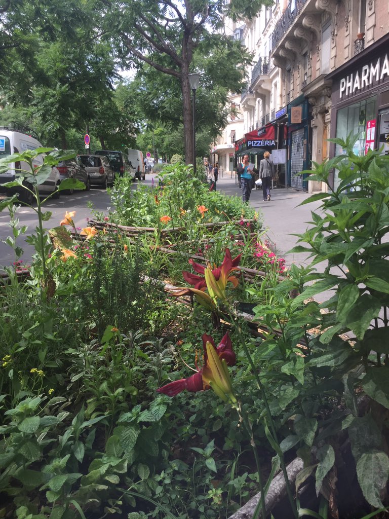 FBerthout's tweet photo. Échanges avec des riverains sur la démarche de réaménagement des contre-allées des bvds #Hopital #StMarcel et #PortRoyal Ici devant l’expérimentation de jardinière située 54 bvd st Marcel #paris5 https://t.co/RcdqmMnLS2