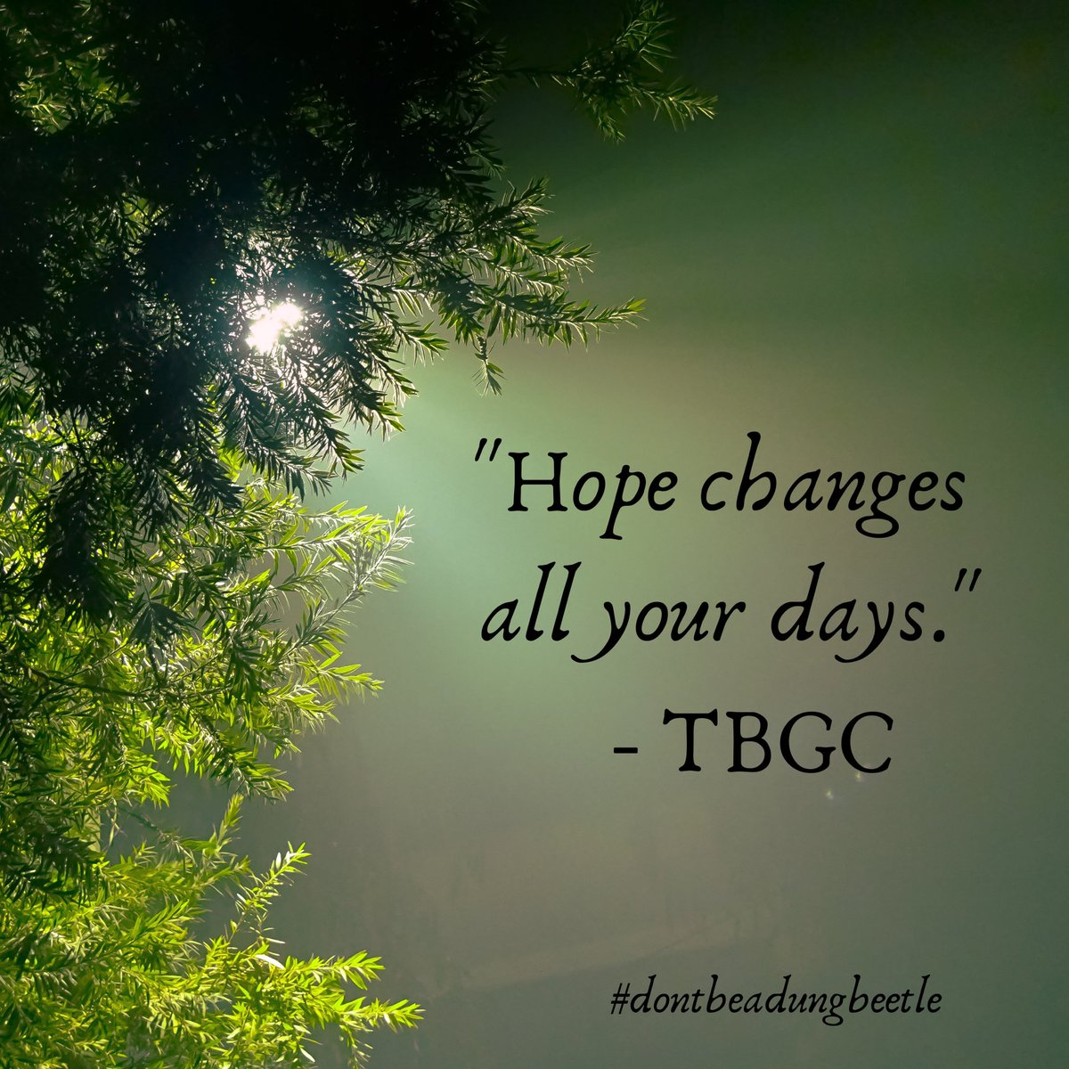 Troy Clarkson tweet media