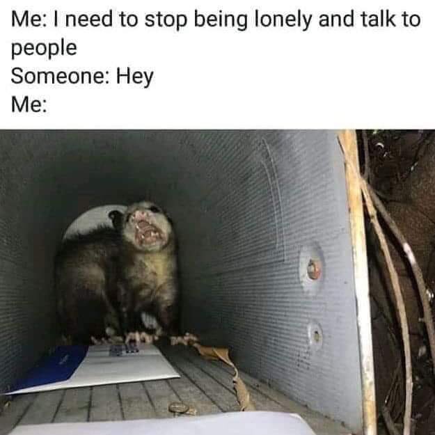 TheIntrovertish's tweet image. #INFJ #INFJProblems #Introvert #IntrovertLife #IntrovertProblems #Monday #MondayThoughts