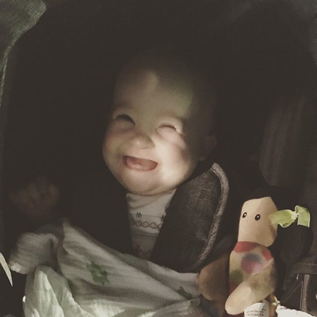 coltmelrose's tweet photo. Please say a prayer for this one today. She’s having a procedure on her ears this morning. By this afternoon she will experience the world in a whole new way. #speaksoftlyanscarryabigbabydoll https://t.co/jM5EEnT5EA https://t.co/7rvQZsAyb3