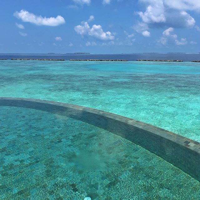 bluemoonescapes tweet media