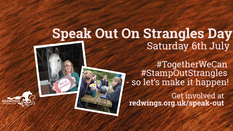CVSGroupPlc's tweet image. This is important.

Help support our Charity of the Year, @RedwingsHS and get involved with their Stamp out Strangles campaign: ow.ly/dyjB30p2v8N #thisisCVS #TogetherWeCan #StampOutStrangles