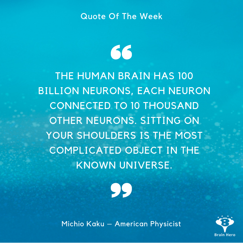 brainherogame's tweet photo. our brain – a miracle of nature  🧠 😀#brainherogame #brainhero #neurosciene #neurofeedback #game #startup #future #brain #brainactivity #qoute https://t.co/LDUf4mM8lX