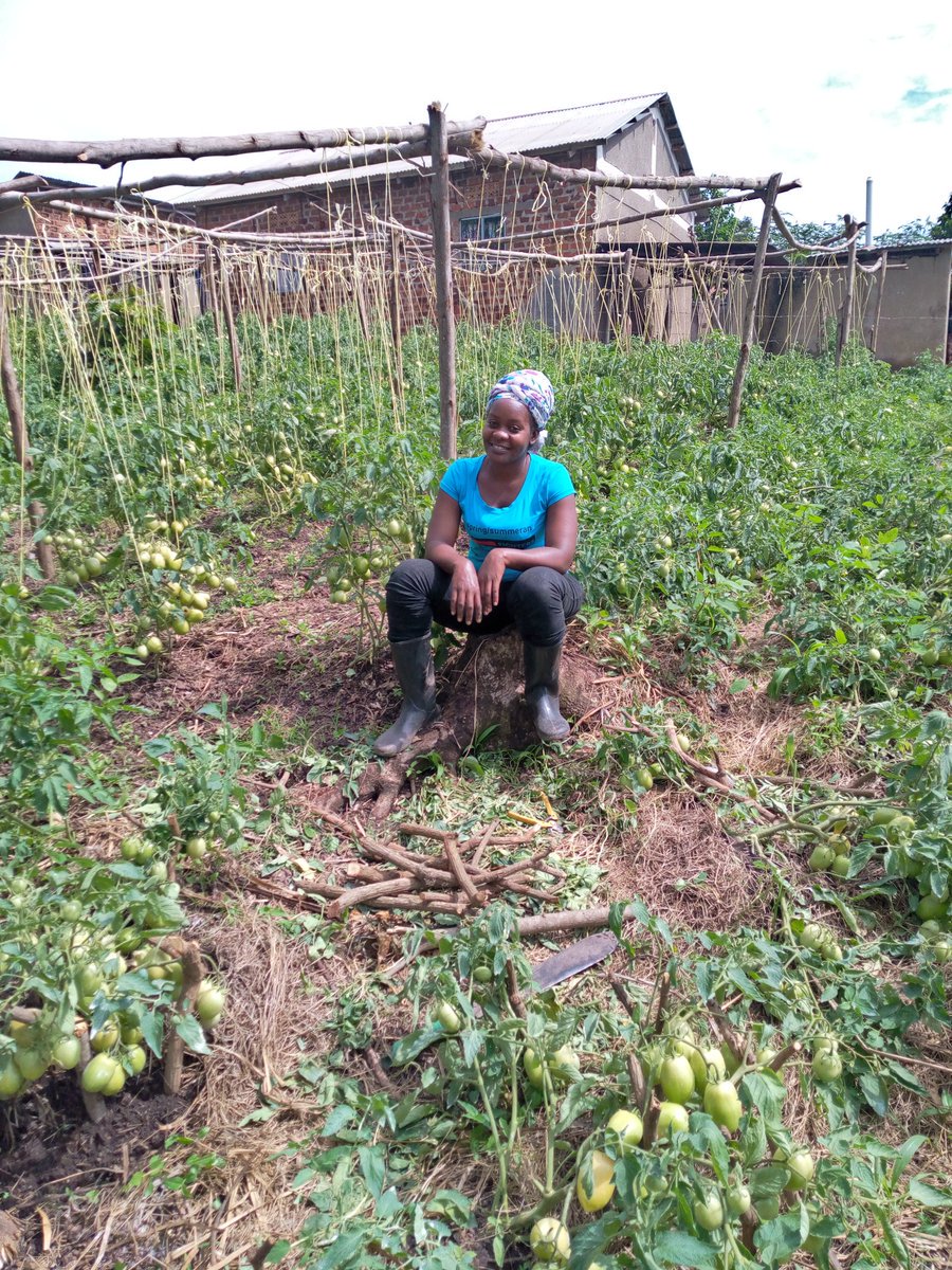 seekewa's tweet photo. #LetsGetFarming ! Thanks to @Sandiepie1 for this beautiful picture 🌱🙂

#Seekewa https://t.co/NC9v7d1KLp