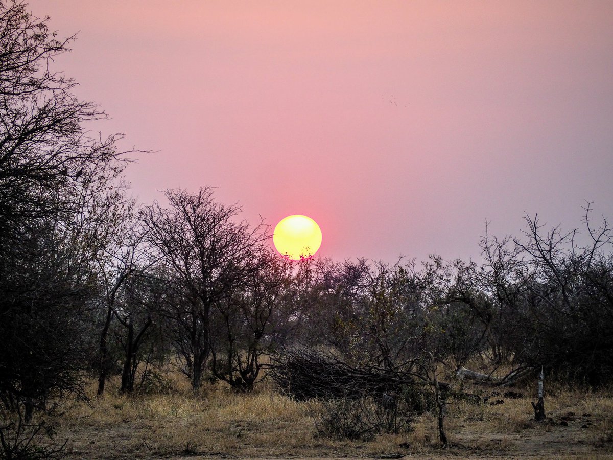 Sunset in South Afrika... Taken during a roadtrip in 2018... #sunset #zonsondergang #natuur #zuidafrika #photography #SouthAfrica #NatGeoWild #nature #capturethewild