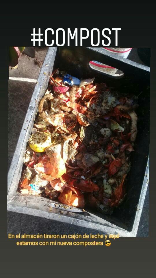 NatyTalleres's tweet image. Tengo una nueva #compostera 😍
Gracias al almacén que tiró un cajón de leche tengo una nueva para el #Compost.
