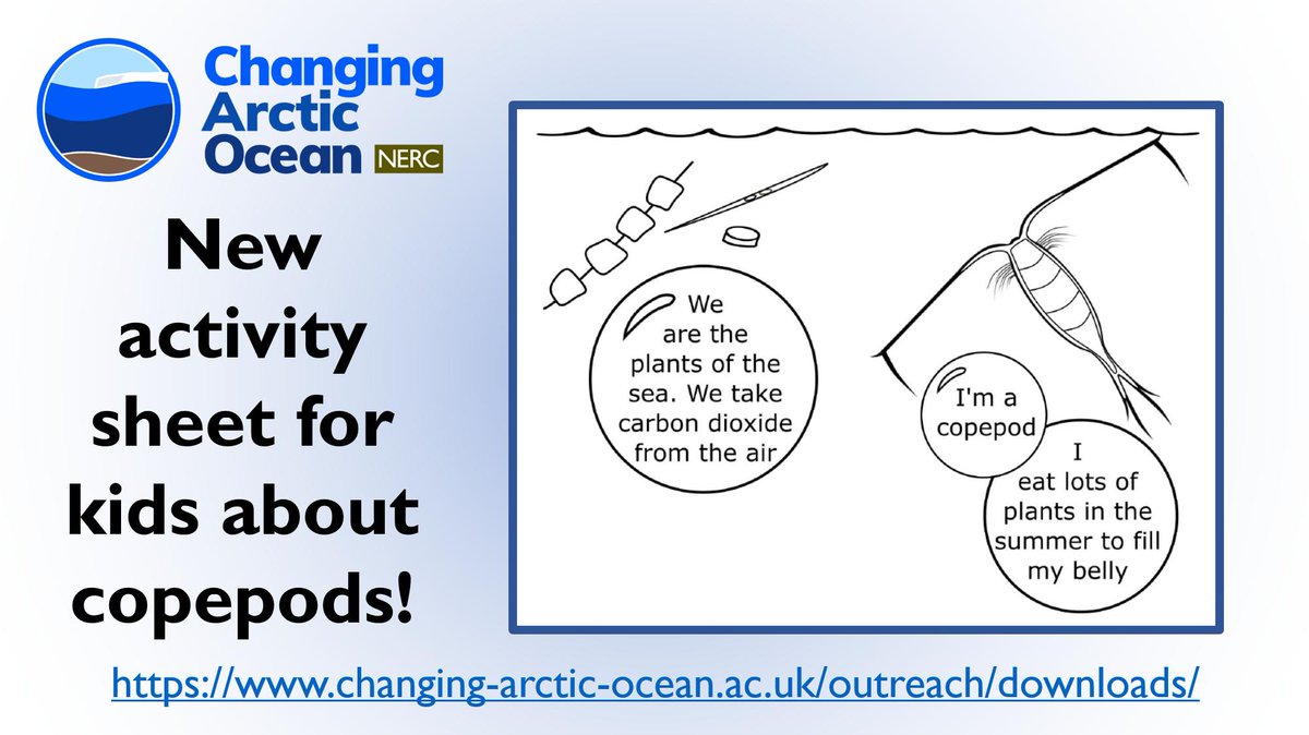 Team #DIAPOD has produced an activity sheet for kids about copepods. It has colouring-in, a maze, and a word puzzle. If you have children to entertain, or even want to try it yourself, you can download it here: bit.ly/CAOactivityshe… <a href="/NERCscience/">Natural Environment Research Council</a> #UKinArctic <a href="/unisouthampton/">University of Southampton</a>
