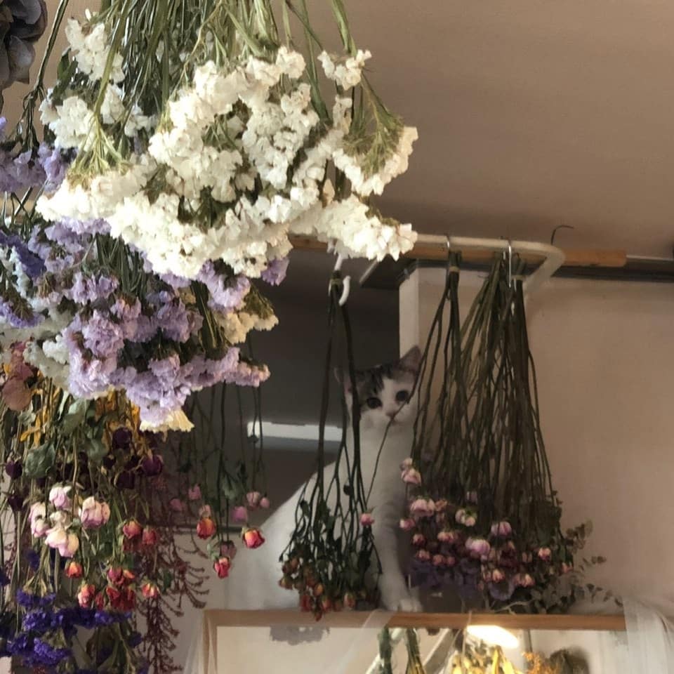 단이의 심바놀이..
니가 왜 거기있어😨