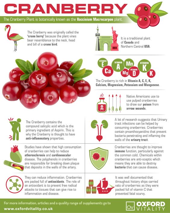 AndgarFood's tweet photo. Did you know cranberries contain salicylic acid, which is used for inflammation in aspirin?
#Natural #Health #Food https://t.co/kkOMJvq8wq