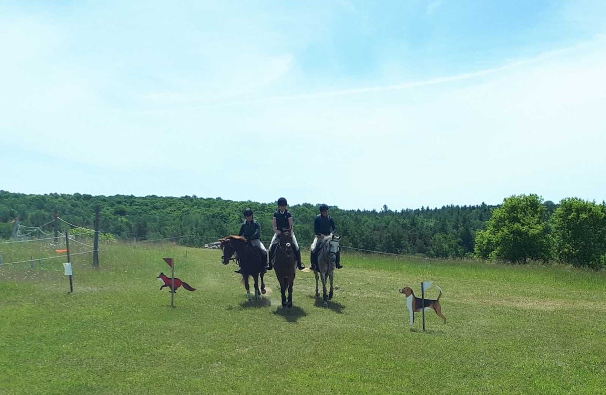 woodwindsouth's tweet photo. Amazing day @TNYH hunter pace with @Jazzysgir1 and Pinky #hunterpace #ponyclubforlife #kickon https://t.co/vpkQqrKCpC