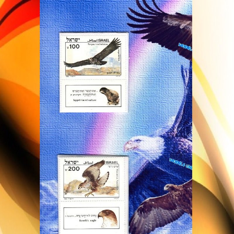 barbierjeanf's tweet photo. RAPACES NOCTURNES OISEAUX BIBLIQUES
 montage photo numérique
https://t.co/MKrqSaZdKZ
#œuvreoriginale #montagephoto #modeleunique #oiseauxrapaces #oiseauxbibliques #timbresvintage #madeinfrance #artpostal #philatelie #artphotographique #timbresneufs #artnumerique #artmixte https://t.co/sOlRSRL29S