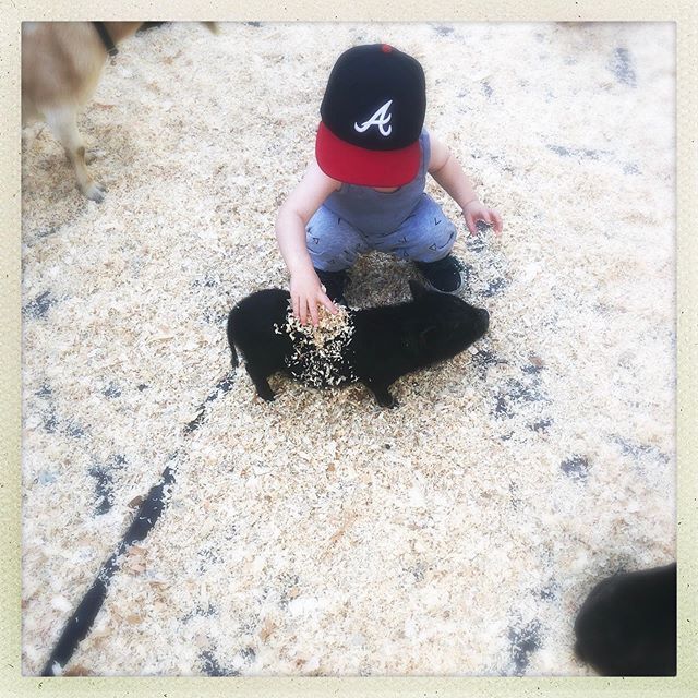 Pig in a blanket. ift.tt/303hhMi