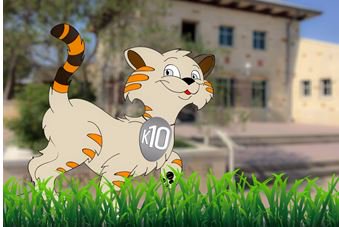 Pflugerville PD K9 Unit tweet media