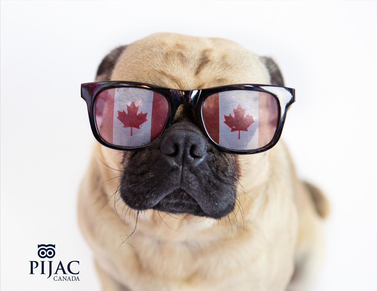 🇨🇦 Happy #CanadaDay to you and your pets!
Help us celebrate - post your patriotic pet pictures and tag us @pijaccanada

🇨🇦 Joyeuse #fêteduCanada à vous et vos animaux de compagnie! Afficher vos photos de vos animaux patriotiques et 'tag' nous @pijaccanada