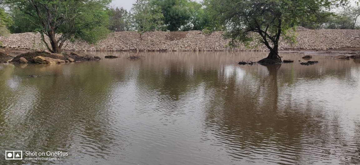 APCCF D&M,Gujarat State tweet media