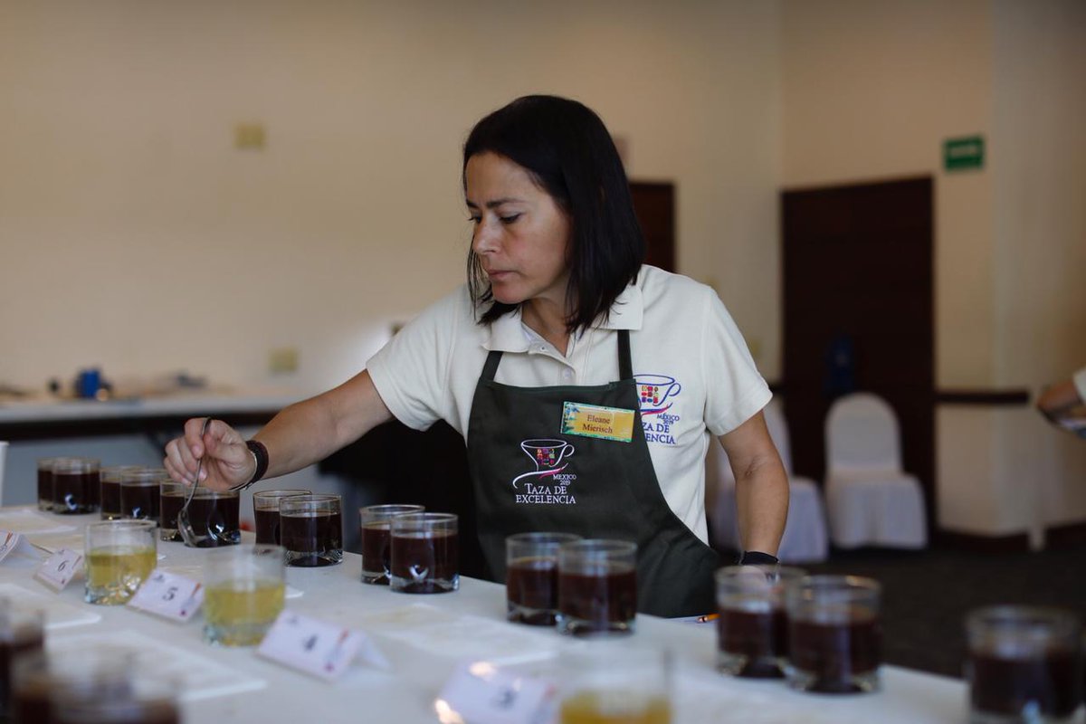 pdgespanol's tweet photo. La séptima edición de @cupofexcellence en México concluyó el pasado viernes 21 de junio. Un Gesha natural de finca Santa Cruz en Chiapas obtuvó el 1er lugar con un puntaje de 93.07. ¡Felicidades a todos los participantes! Mira el listado completo aquí: https://t.co/YyfWfeNZya https://t.co/RJcVPalgcv