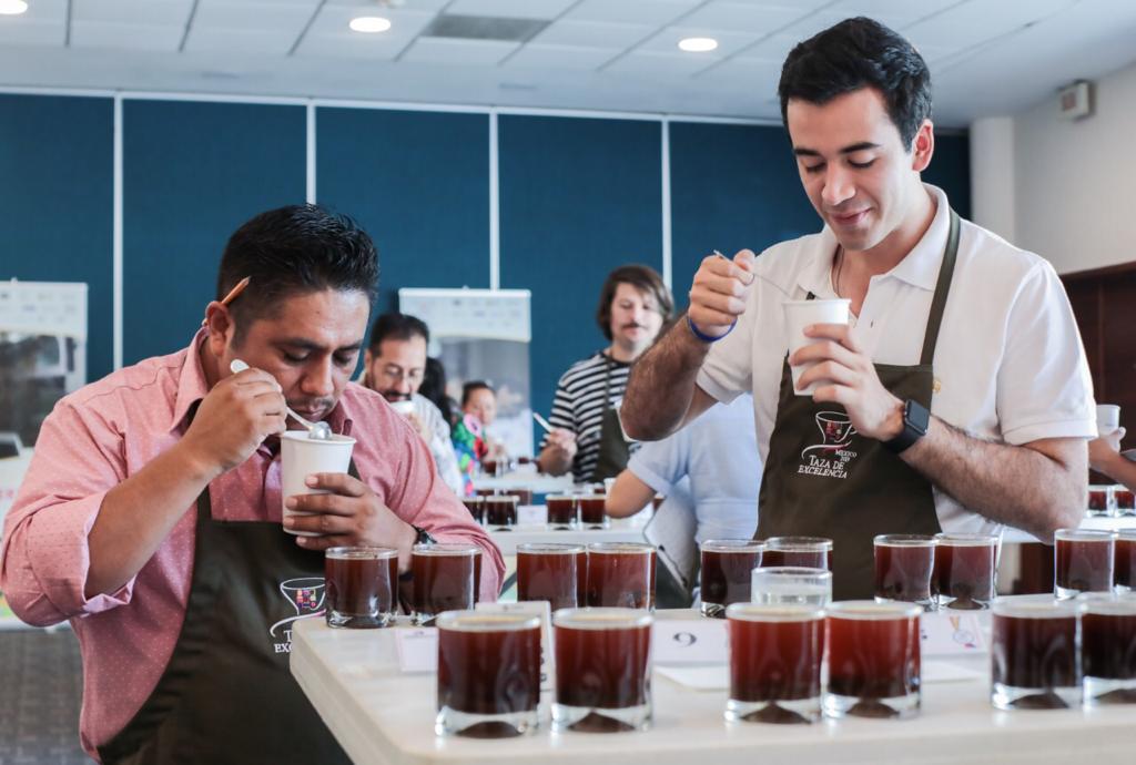 pdgespanol's tweet photo. La séptima edición de @cupofexcellence en México concluyó el pasado viernes 21 de junio. Un Gesha natural de finca Santa Cruz en Chiapas obtuvó el 1er lugar con un puntaje de 93.07. ¡Felicidades a todos los participantes! Mira el listado completo aquí: https://t.co/YyfWfeNZya https://t.co/RJcVPalgcv