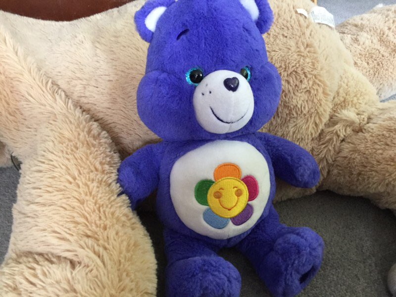 Alice Pickles tweet media