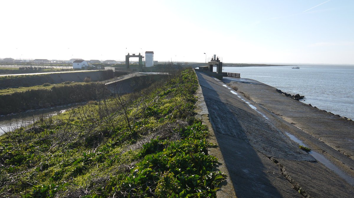 DepVendee's tweet photo. #DefenseContreLaMer "Sur la côte vendéenne, 125 km de digues vont faire l'objet de travaux de renforcement ou de rehaussement pour 90 M€. Les opérations vont s'accélérer jusqu'en 2023."
@YvesAuvinet @PrefetVendee @paysdelaloire #Environnement #Xynthia #Vendée2040 https://t.co/KSvXR5tn4T