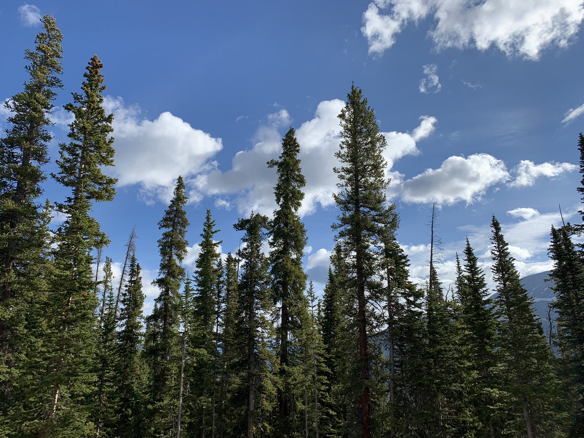 TonyThomasWIN's tweet photo. Watching this flock of hummingbirds this morning and finally grabbed a picture of one. Now #timetohike. https://t.co/Uaq3g5qzwS