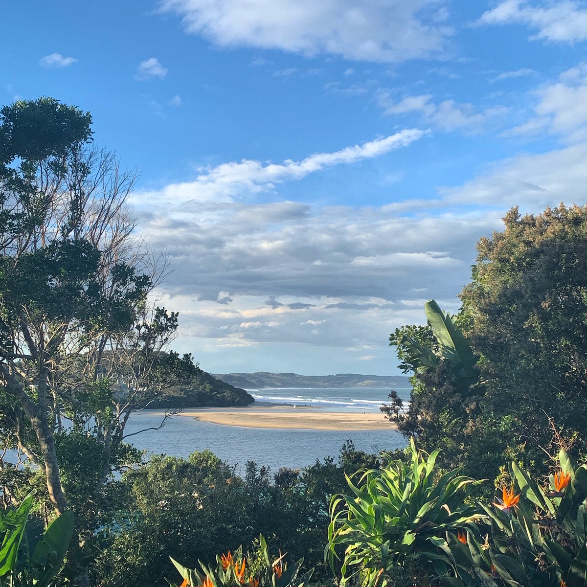 MaluLambert's tweet photo. Just 11 hours from Noordhoek, the tropics in the Eastern Cape. Local IS lekker.
#chinsta https://t.co/g9QulP397I