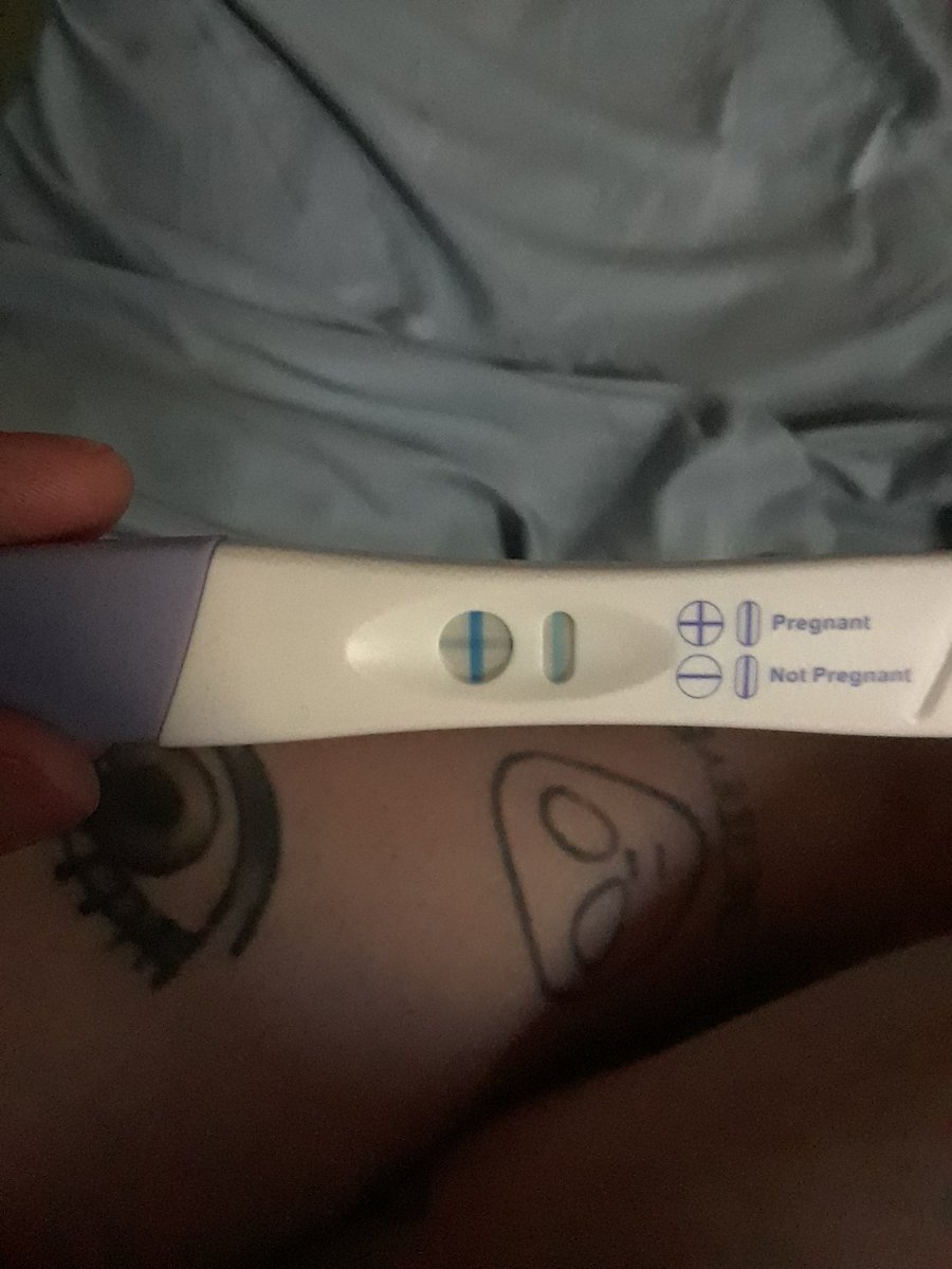 spooky_mcghee's tweet photo. It's official! We are expecting! #beatingpcos #pcos #infertility #pcosawareness #pcos #ttc https://t.co/bWfh160iwd
