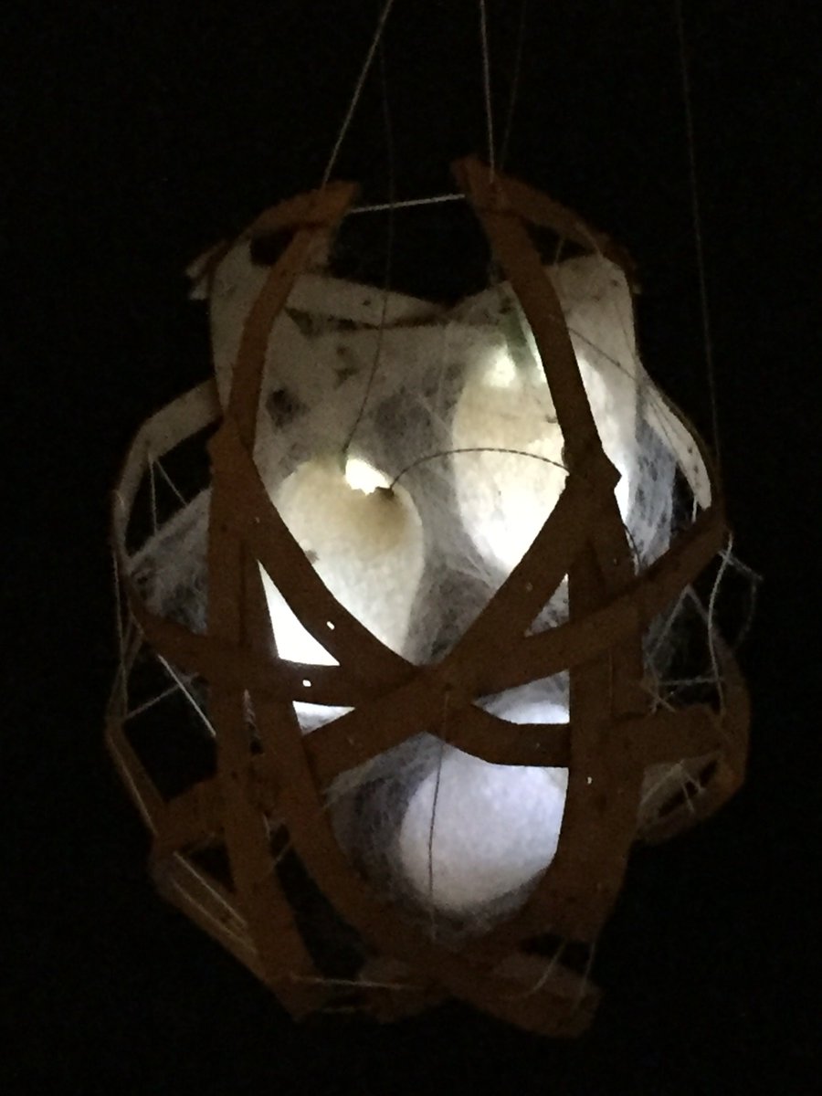 CorinneTakara's tweet image. Cocoons work really well, too! #lightdiffusion #makerspace Haven&apos;t tried pasta! Cool idea!