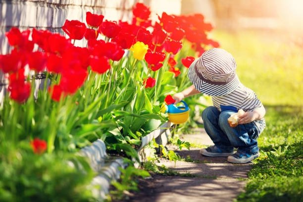BestFeedsGarden's tweet photo. What's your secret for keeping your garden looking great all year long? https://t.co/U2o9C4oKkZ