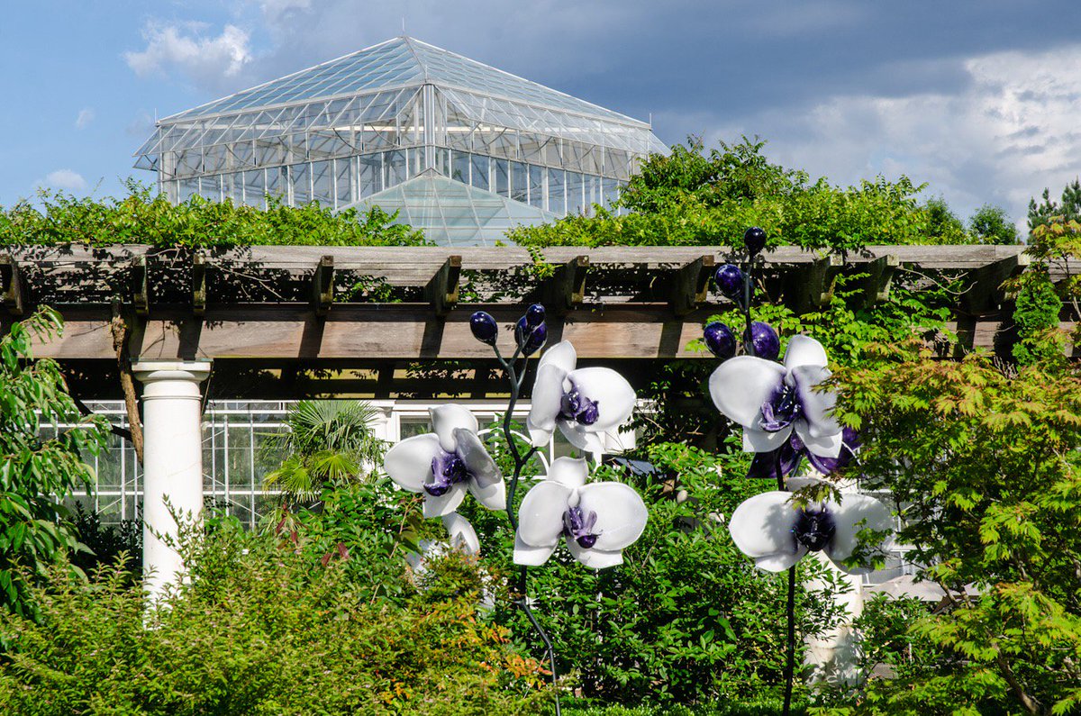 Daniel Stowe Botanical Garden Carolinasgarden Twitter