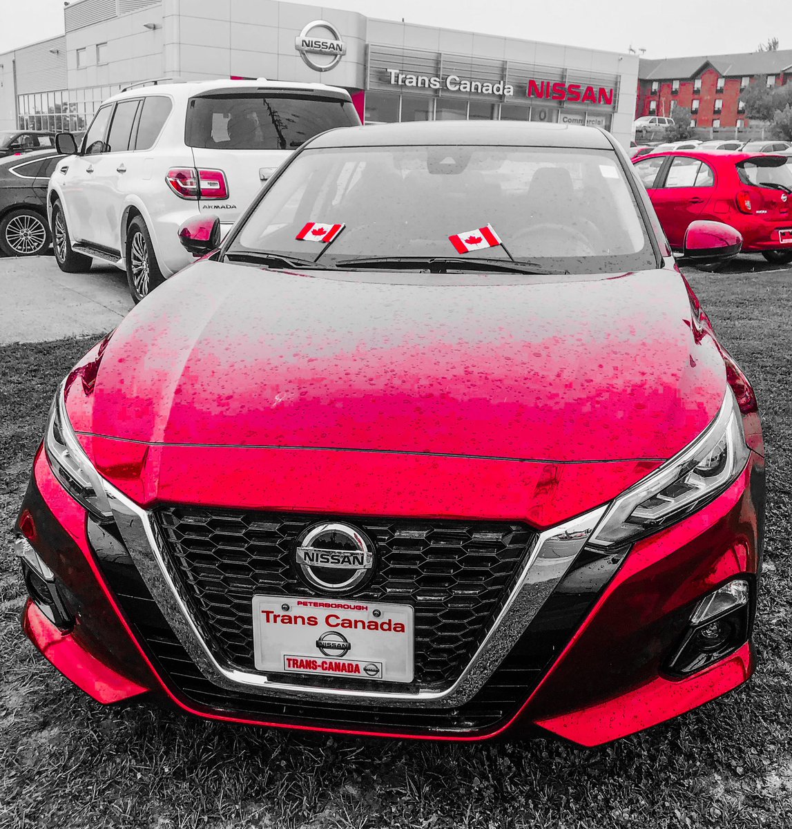 TCNissan's tweet image. 🇨🇦🇨🇦Happy 152nd Birthday Canada🇨🇦🇨🇦

From all of us at Trans Canada Nissan!!!!

#happybirthdaycanada #onefiftytwo #redandwhite #TCNsocial #TCNservice #proudtobedrivingthebest #weserviceallmakesandmodels